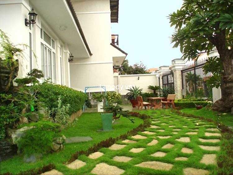 Top 20 homestay Tam Đảo Vĩnh Phúc giá rẻ view đẹp decor xinh dưới 500k