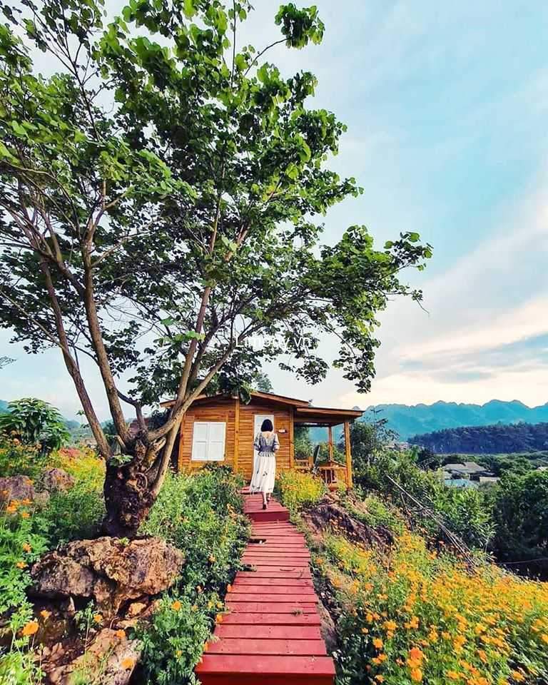 Top 30 homestay Mộc Châu Sơn La giá rẻ view đẹp decor xinh dưới 500k