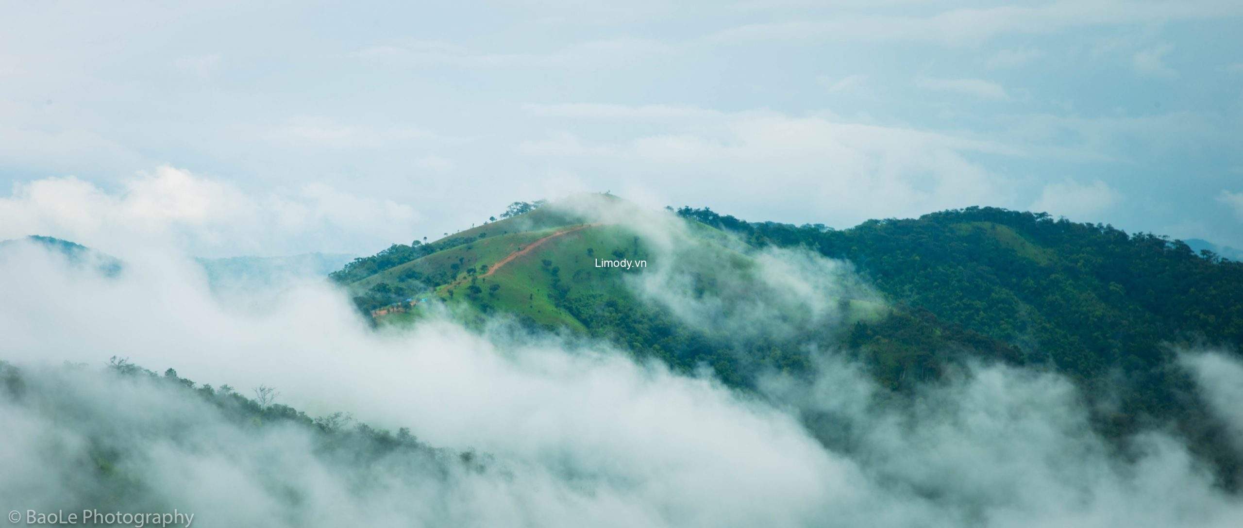 Trekking Tà Năng Phan Dũng mùa nào đẹp nhất trong năm?