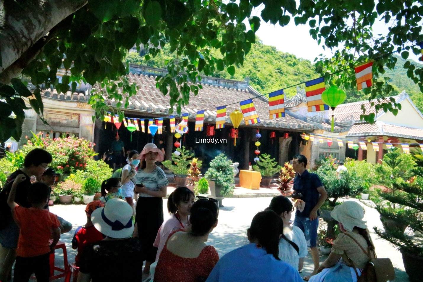Tour Cù Lao Chàm Hội An 1 ngày giá rẻ: Thông tin chi tiết nhất từ A-Z