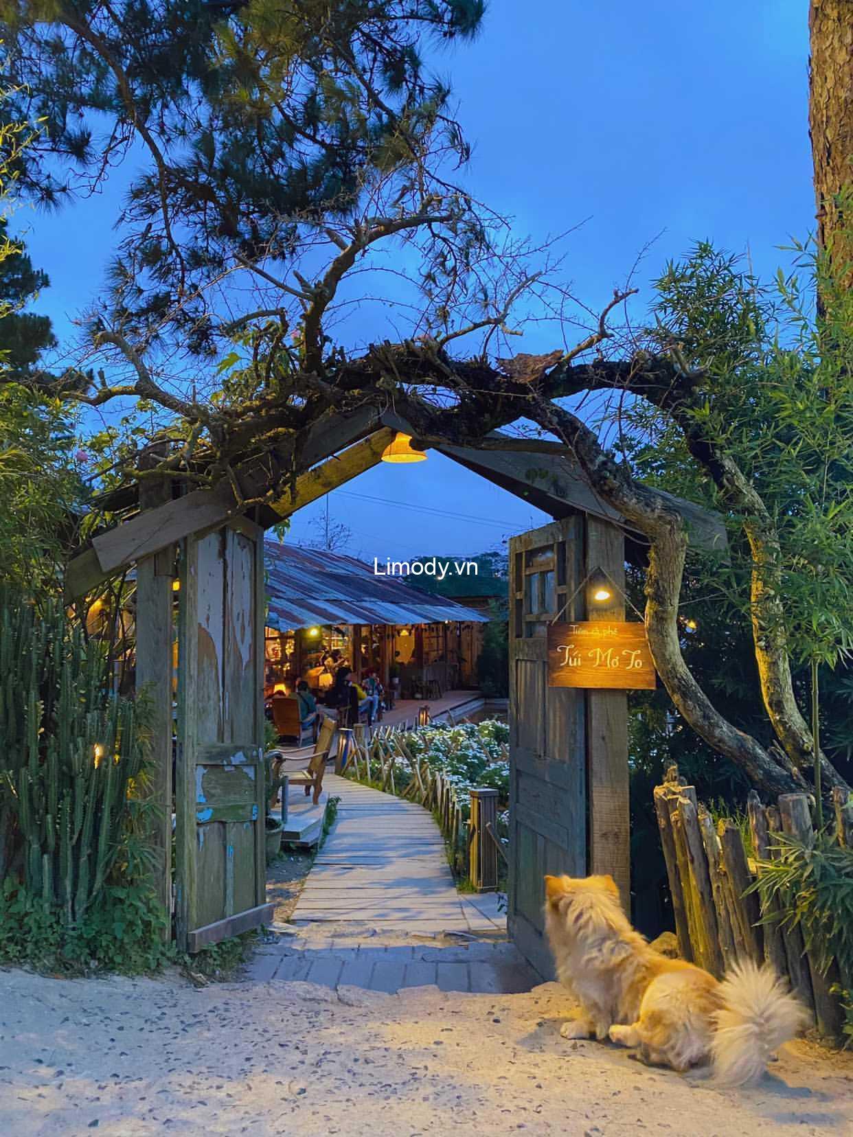 Top 20 quán cafe Đà Lạt view đẹp decor xinh thích hợp sống ảo nhất