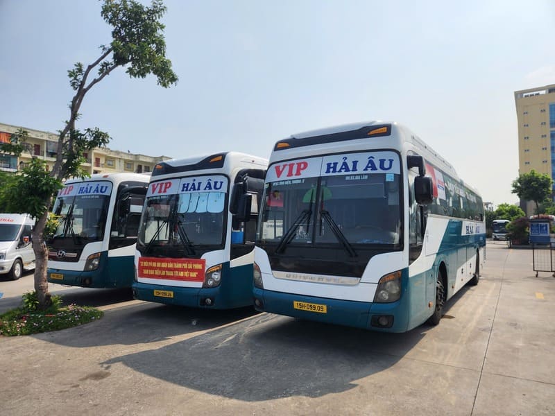 Nhà xe Hải Âu Hải Phòng Hà Nội Thái Bình Hải Dương Phố Nối