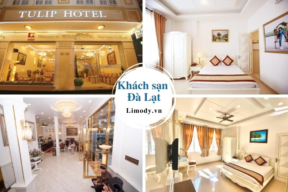 Top 40 Khách sạn Đà Lạt giá rẻ đẹp gần chợ đêm trung tâm từ 2-3-4-5 sao