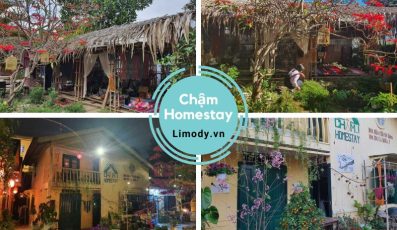 Chậm homestay Đà Lạt: Ngôi nhà đậm chất cổ điển với décor mộc mạc
