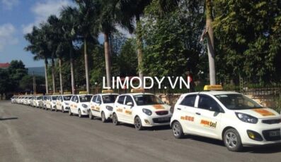 20 Hãng taxi Đồ Sơn Hải Phòng số điện thoại tổng đài 24/24