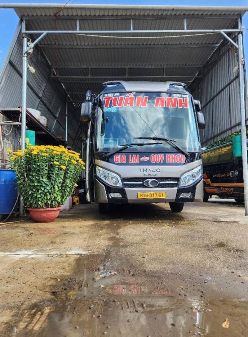 20 Nhà xe Quy Nhơn Gia Lai Bình Định đi Pleiku tốt nhất đặt vé