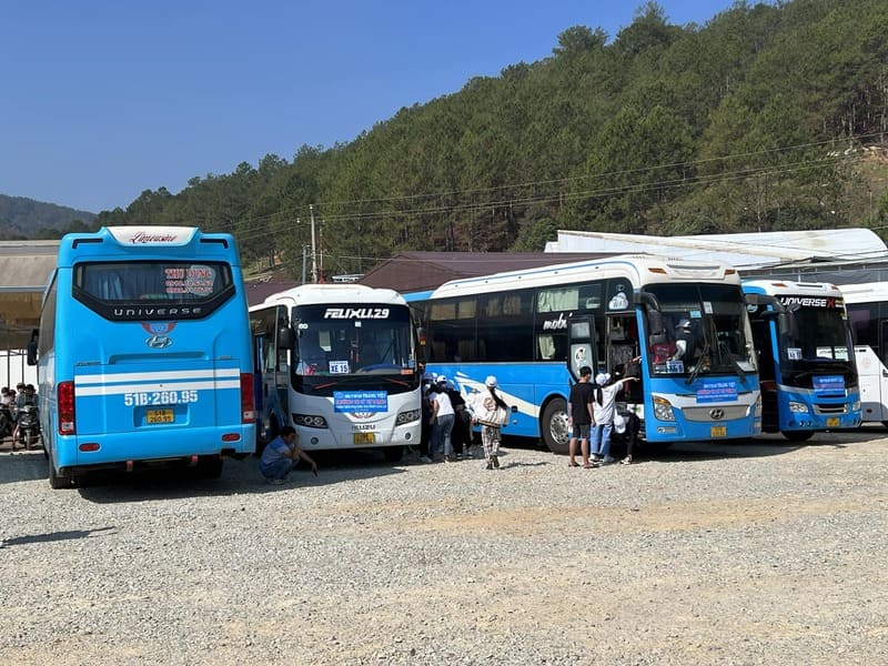 Nhà xe Thu Dung Đơn Dương Sài Gòn: Số điện thoại, giá vé