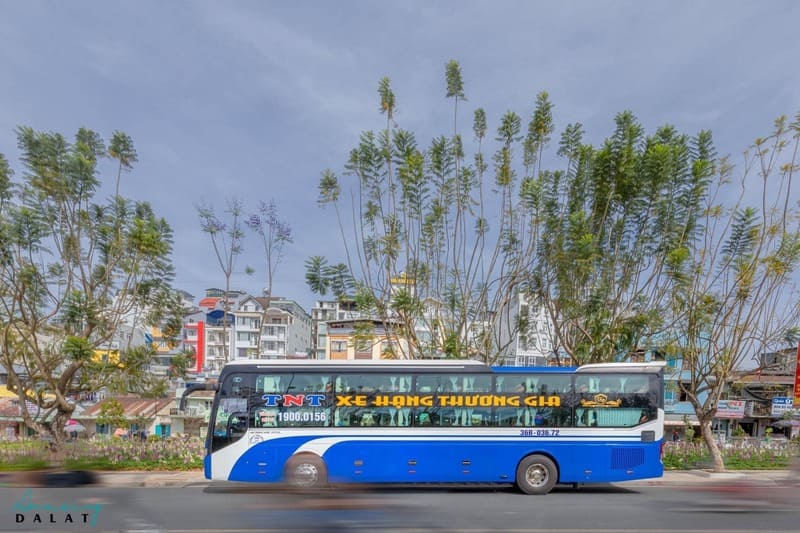 Nhà xe TNT Thanh Hóa đi Bình Dương Bình Phước Đà Lạt Sài Gòn