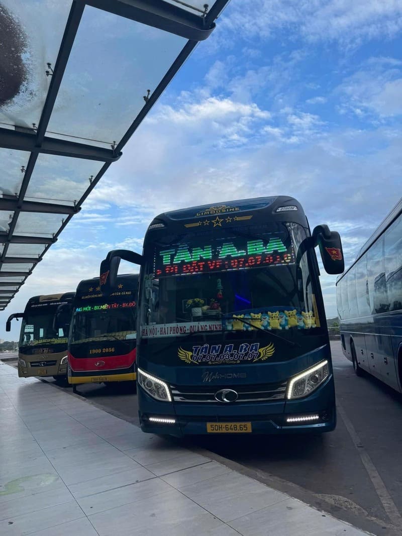 Nhà xe Tân A Ba: Số điện thoại, giá vé và lộ trình tuyến xe