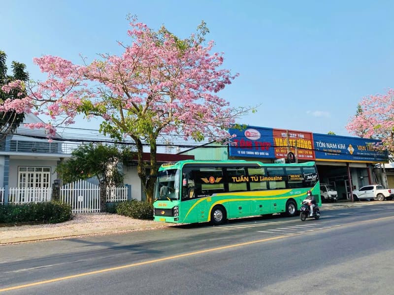Top 17 Nhà xe Sài Gòn đi Di Linh số điện thoại giá vé lịch trình