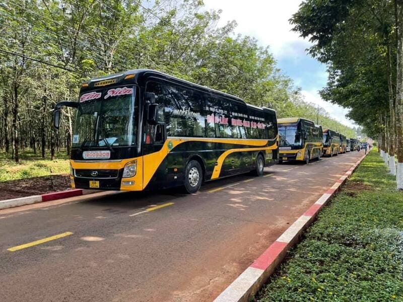 8 Nhà xe Tiền Giang đi Đà Lạt limousine giường nằm Mỹ Tho Đà Lạt