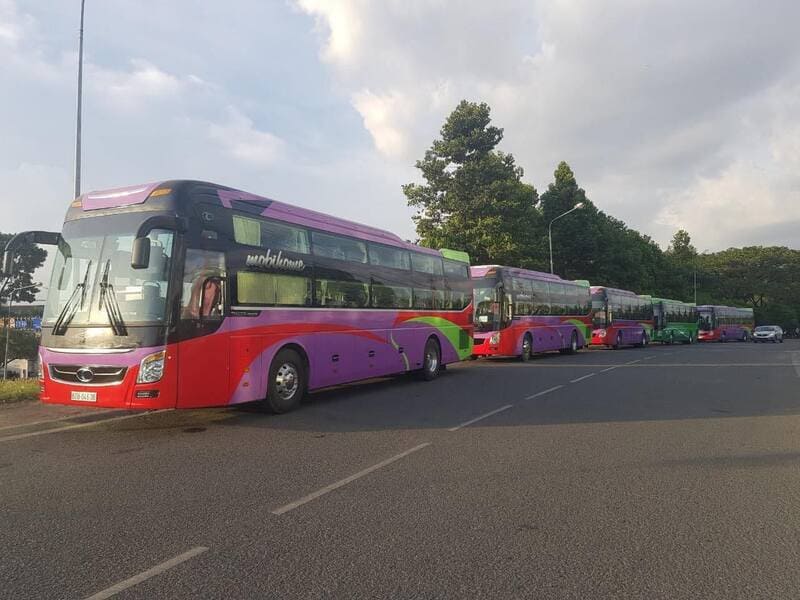 8 Nhà xe Tiền Giang đi Đà Lạt limousine giường nằm Mỹ Tho Đà Lạt