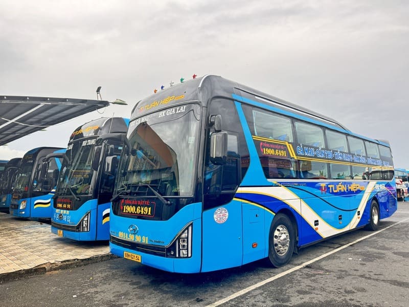 8 Nhà xe Tiền Giang đi Đà Lạt limousine giường nằm Mỹ Tho Đà Lạt