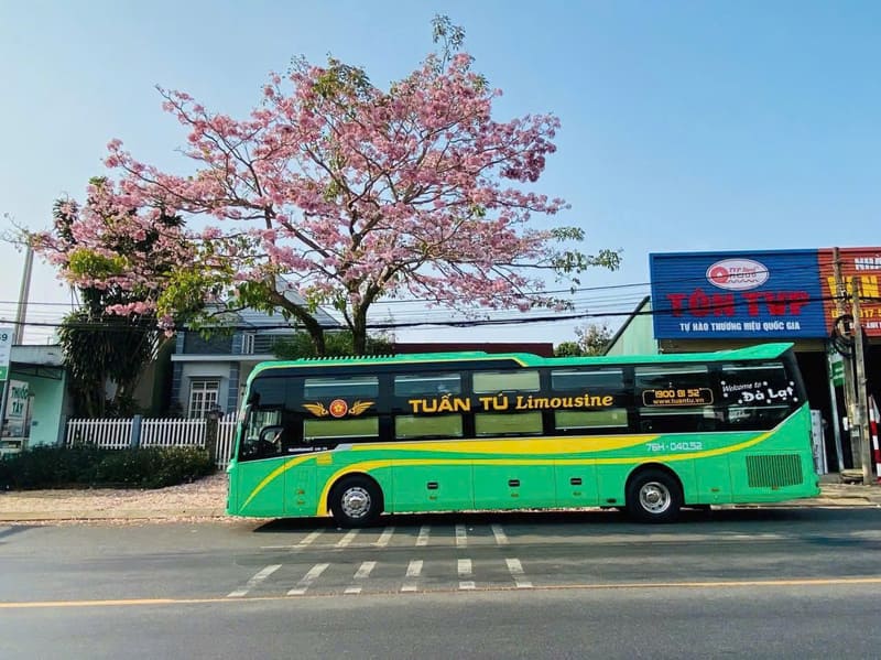 Top 7 Nhà xe từ Bảo Lâm đi Đà Lạt số điện thoại & lịch trình