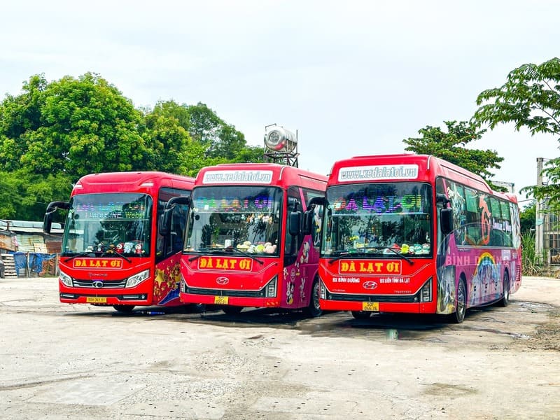 Top 15 Nhà xe Sài Gòn Bảo Lâm số điện thoại & giá vé