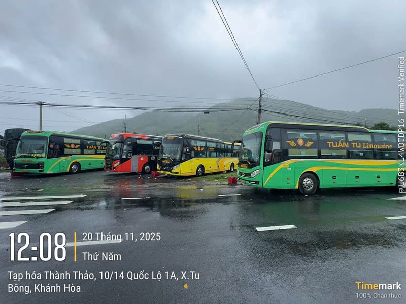 Top 6 Nhà xe Xuân Lộc đi Đà Lạt số điện thoại & lịch trình A-Z