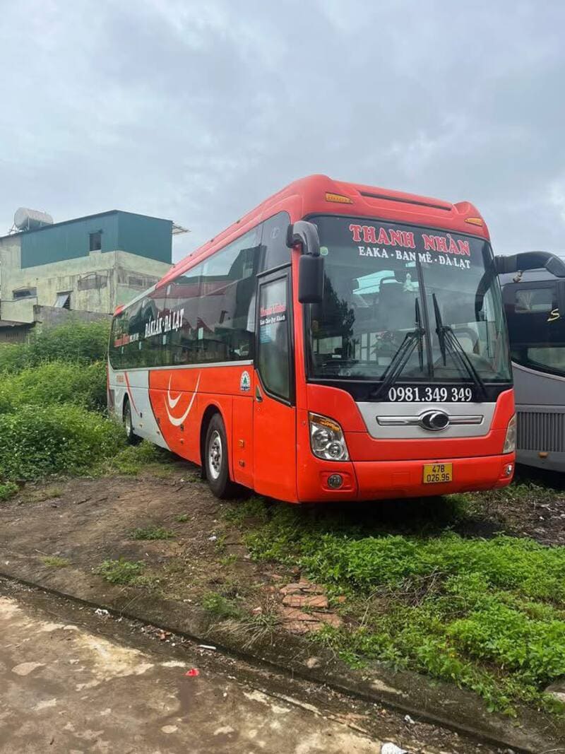 Top 3 Nhà xe Buôn Hồ đi Đà Lạt giá vé từ 260k & số điện thoại