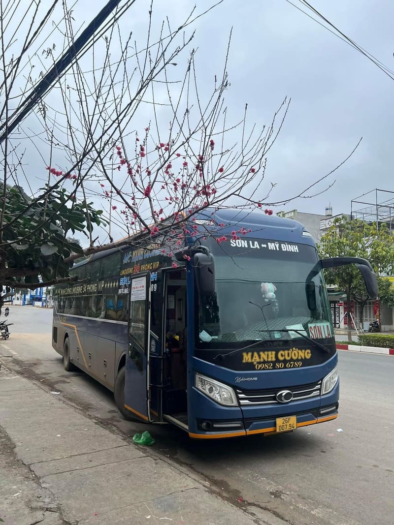 Nhà xe Mạnh Cường Sơn La Mộc Châu Quỳnh Nhai Mỹ Đình Hà Nội