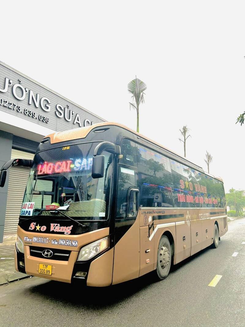 Nhà xe Sao Vàng Thái Bình Lào Cai Sapa Hà Nội Vĩnh Phúc Hà Nam